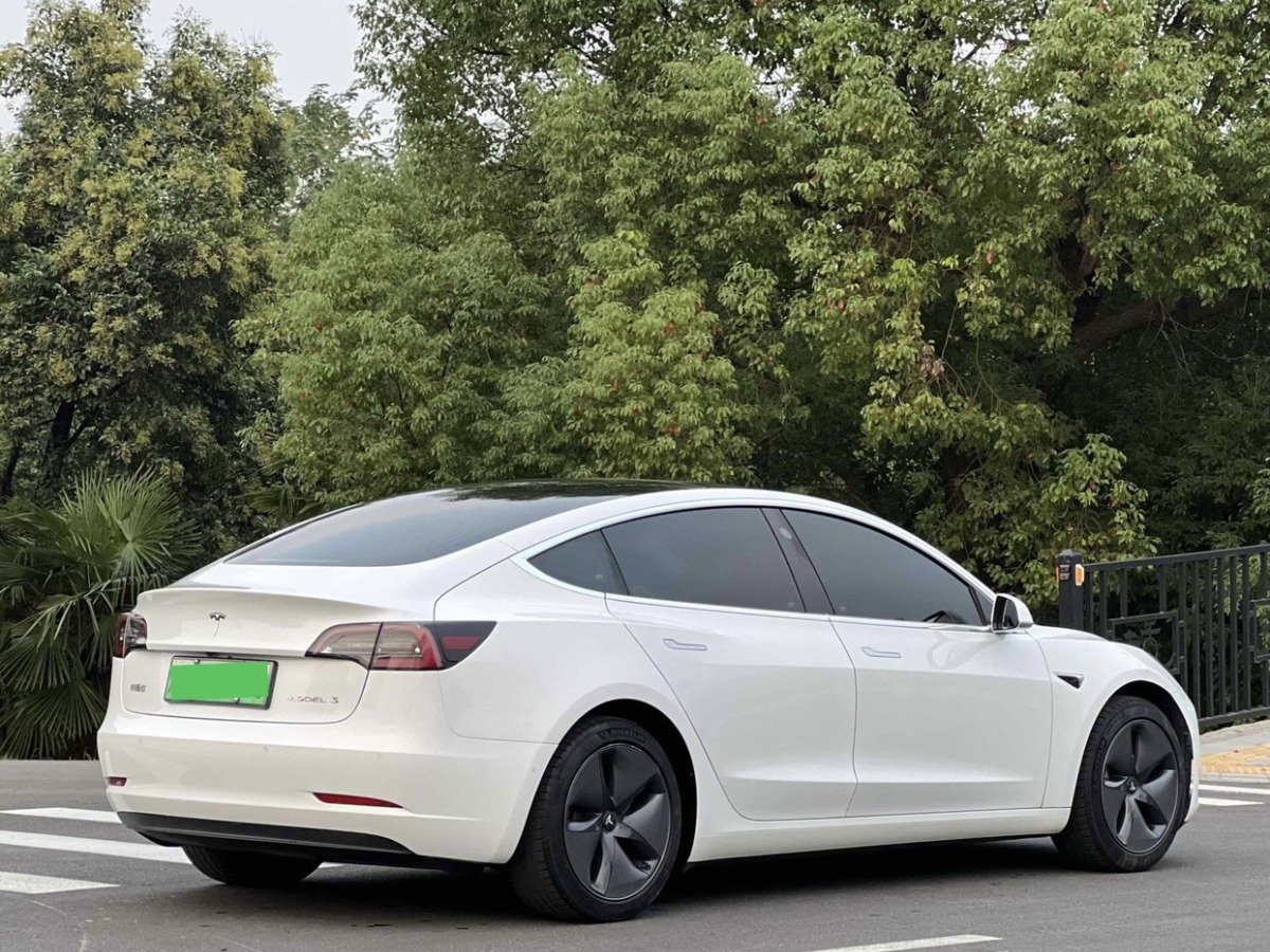 特斯拉 Model Y  2020款 標(biāo)準(zhǔn)續(xù)航后驅(qū)升級(jí)版圖片