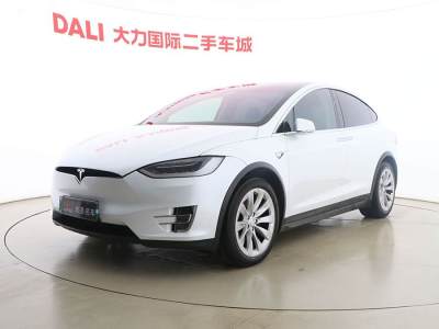 2019年3月 特斯拉 Model X Model X 100D 長(zhǎng)續(xù)航版圖片