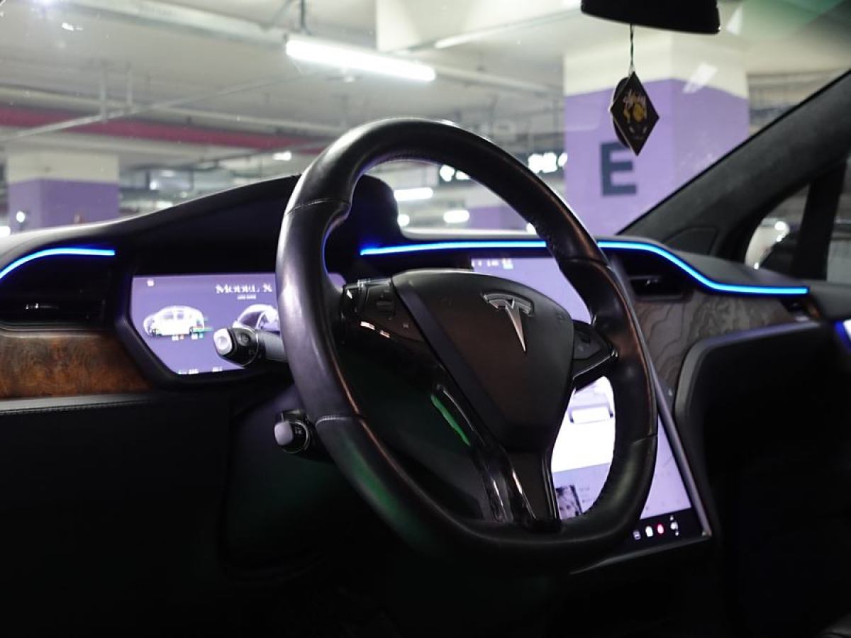 特斯拉 Model X  2019款 長續(xù)航版圖片