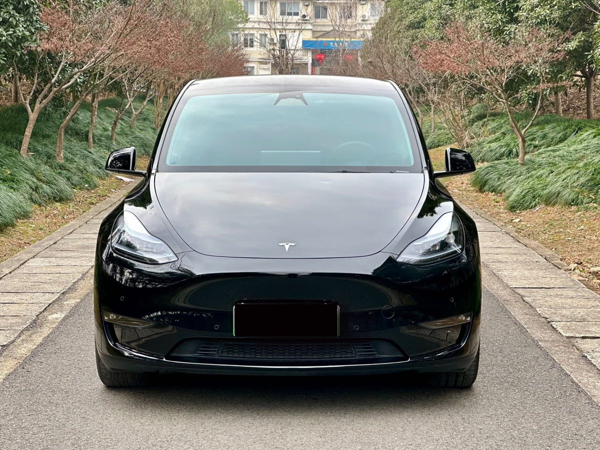 特斯拉 Model 3  2021款 改款 Performance高性能全輪驅動版圖片