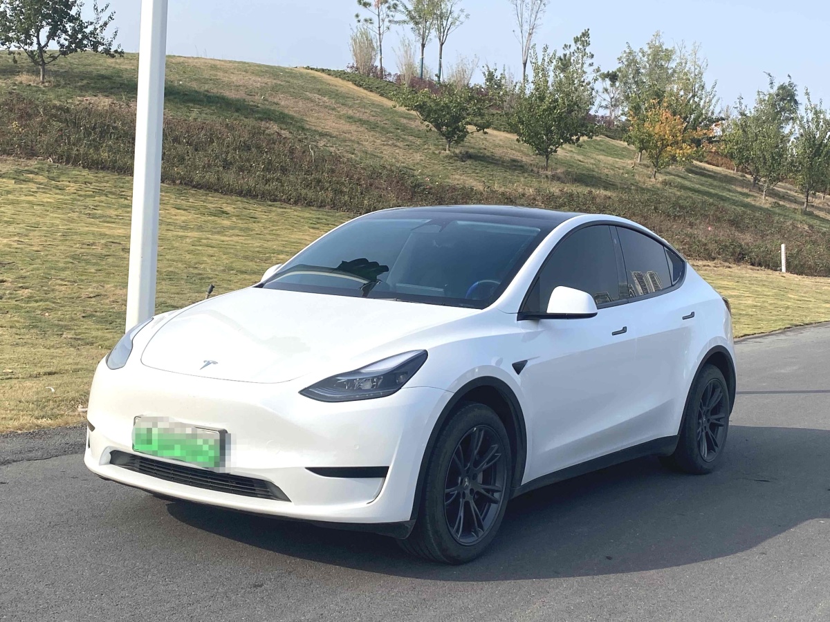 特斯拉 Model 3  2023款 煥新版 后輪驅(qū)動圖片