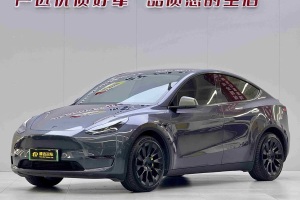Model Y 特斯拉 改款 長續(xù)航全輪驅(qū)動版