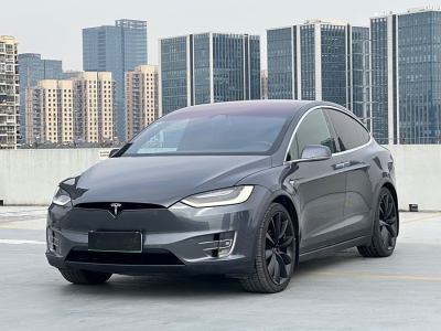 2019年7月 特斯拉 Model X 長續(xù)航版圖片