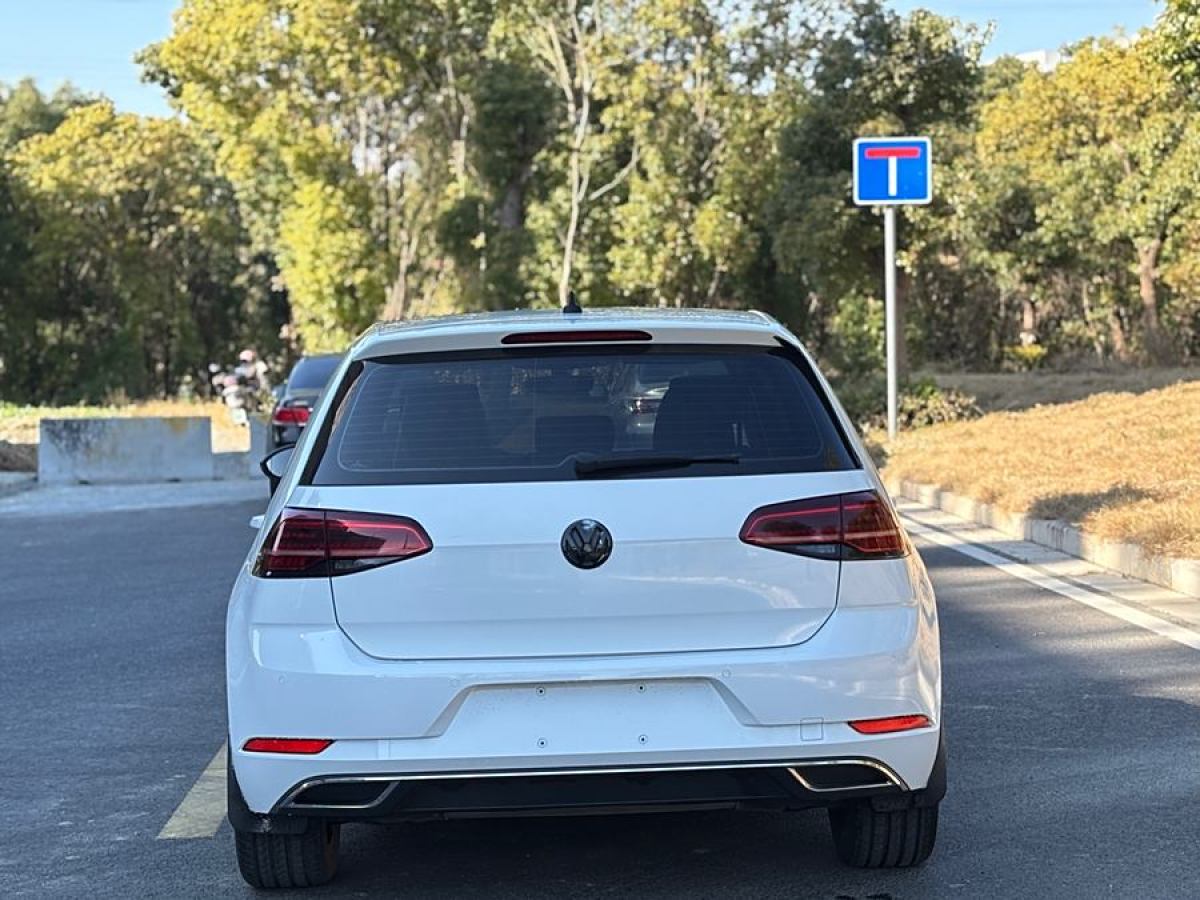 大眾 高爾夫  2019款 280TSI DSG豪華型 國VI圖片