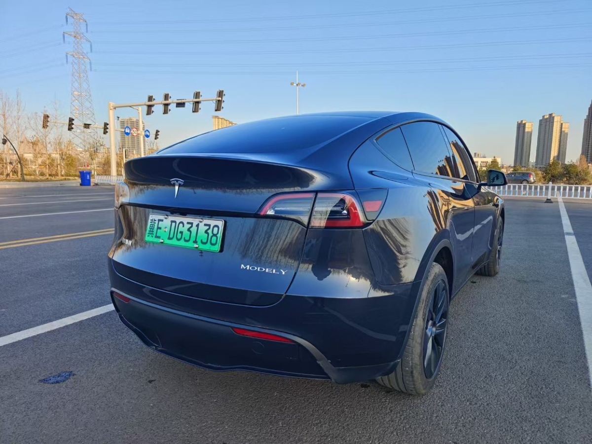 特斯拉 Model Y  2024款 長(zhǎng)續(xù)航全輪驅(qū)動(dòng)版圖片