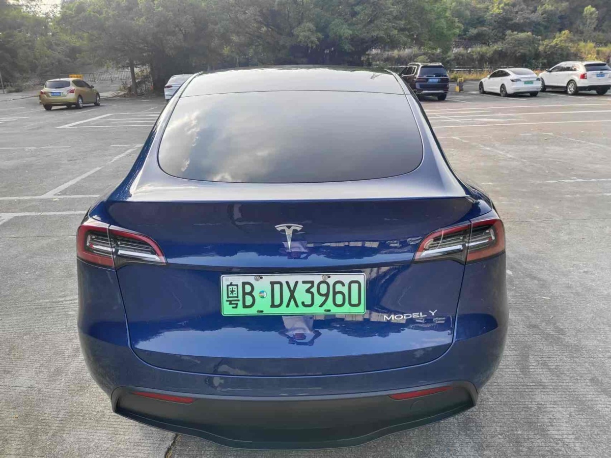 特斯拉 Model Y  2021款 改款 標準續(xù)航后驅(qū)升級版圖片