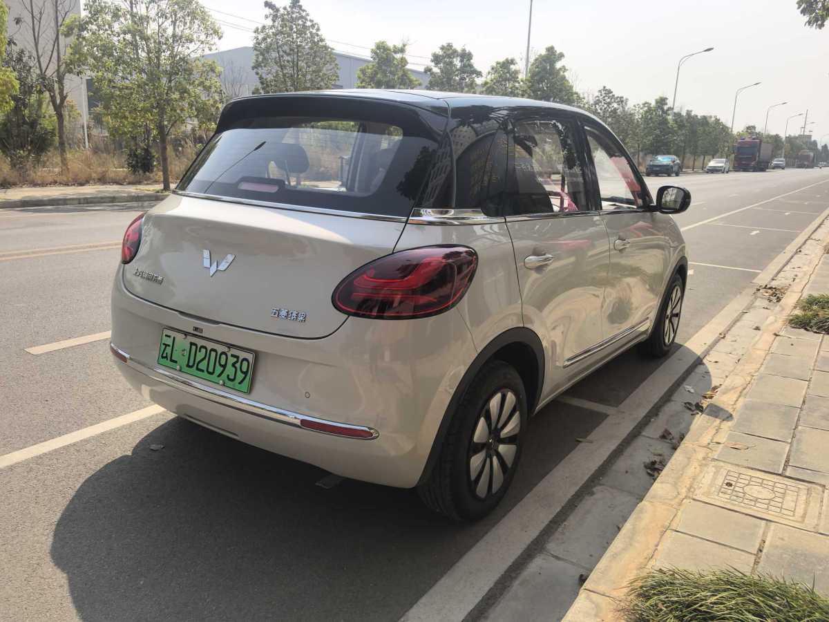 五菱 五菱繽果  2023款 333km 靈犀互聯(lián)+款圖片