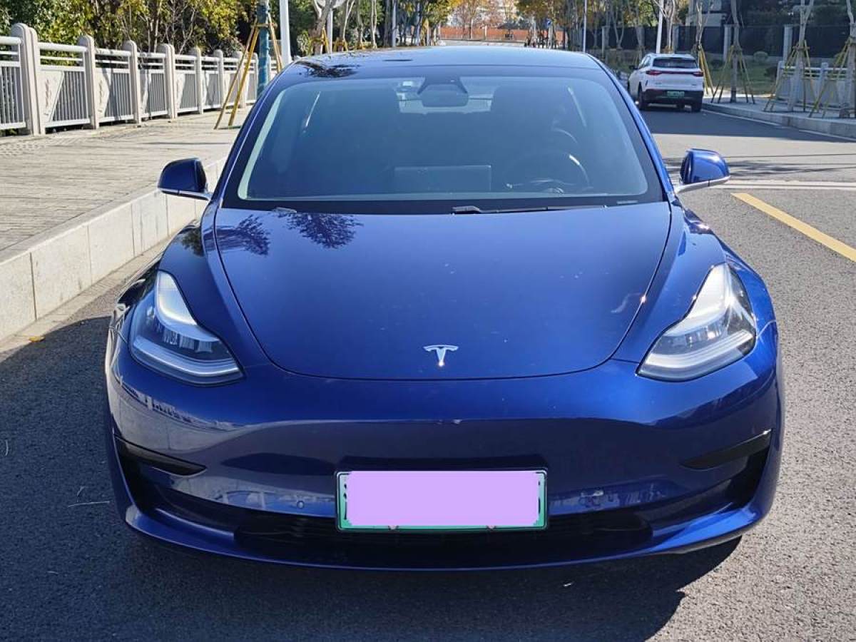 特斯拉 Model 3  2020款 改款 標(biāo)準(zhǔn)續(xù)航后驅(qū)升級(jí)版圖片