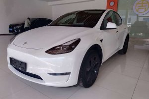 Model Y 特斯拉 長(zhǎng)續(xù)航全輪驅(qū)動(dòng)版