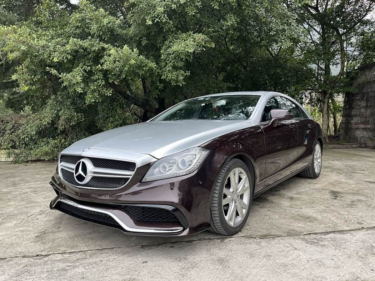 奔馳 奔馳CLS級(jí)  2012款 CLS 300 CGI圖片