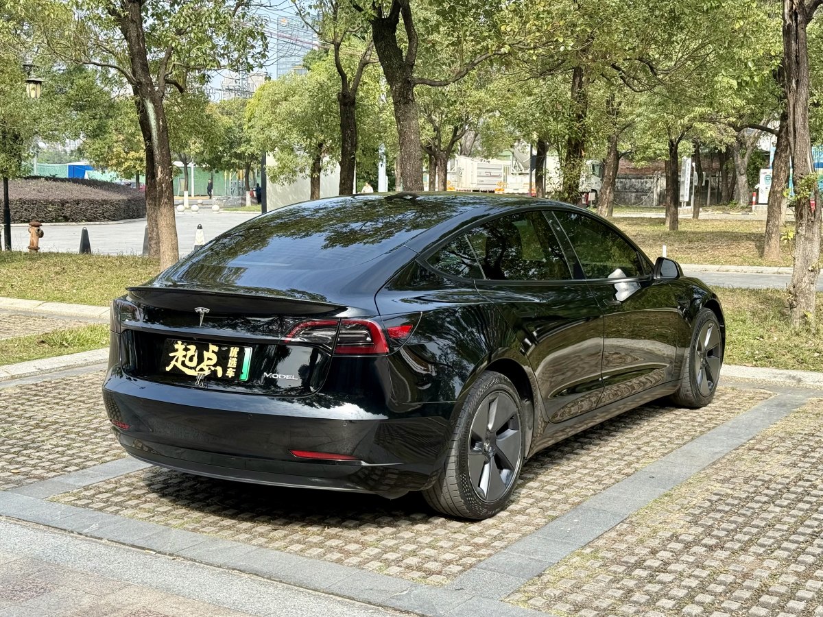 特斯拉 Model 3  2019款 標(biāo)準(zhǔn)續(xù)航后驅(qū)升級(jí)版圖片