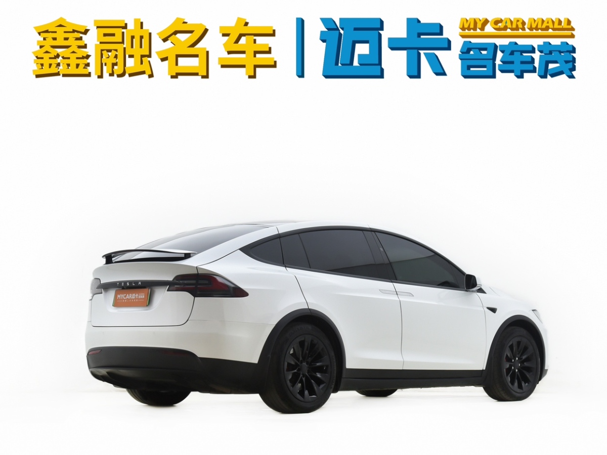 特斯拉 Model X  2017款 Model X 100D 長續(xù)航版圖片