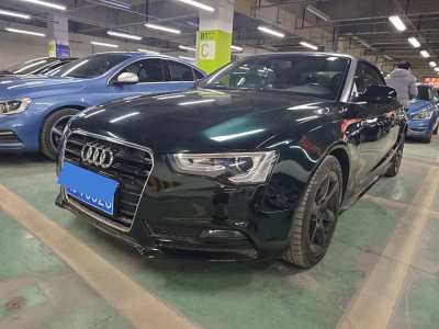 2013年3月 奧迪 奧迪A5(進口) 2.0TFSI Cabriolet圖片