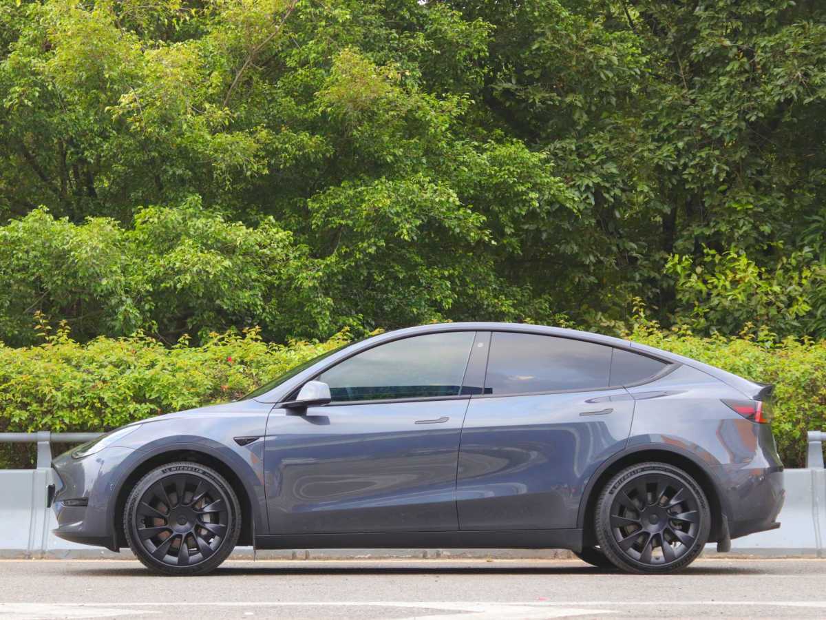 特斯拉 Model Y  2022款 后輪驅(qū)動版圖片