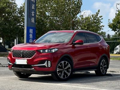 2020年9月 WEY VV6 2.0T 两驱智护+图片