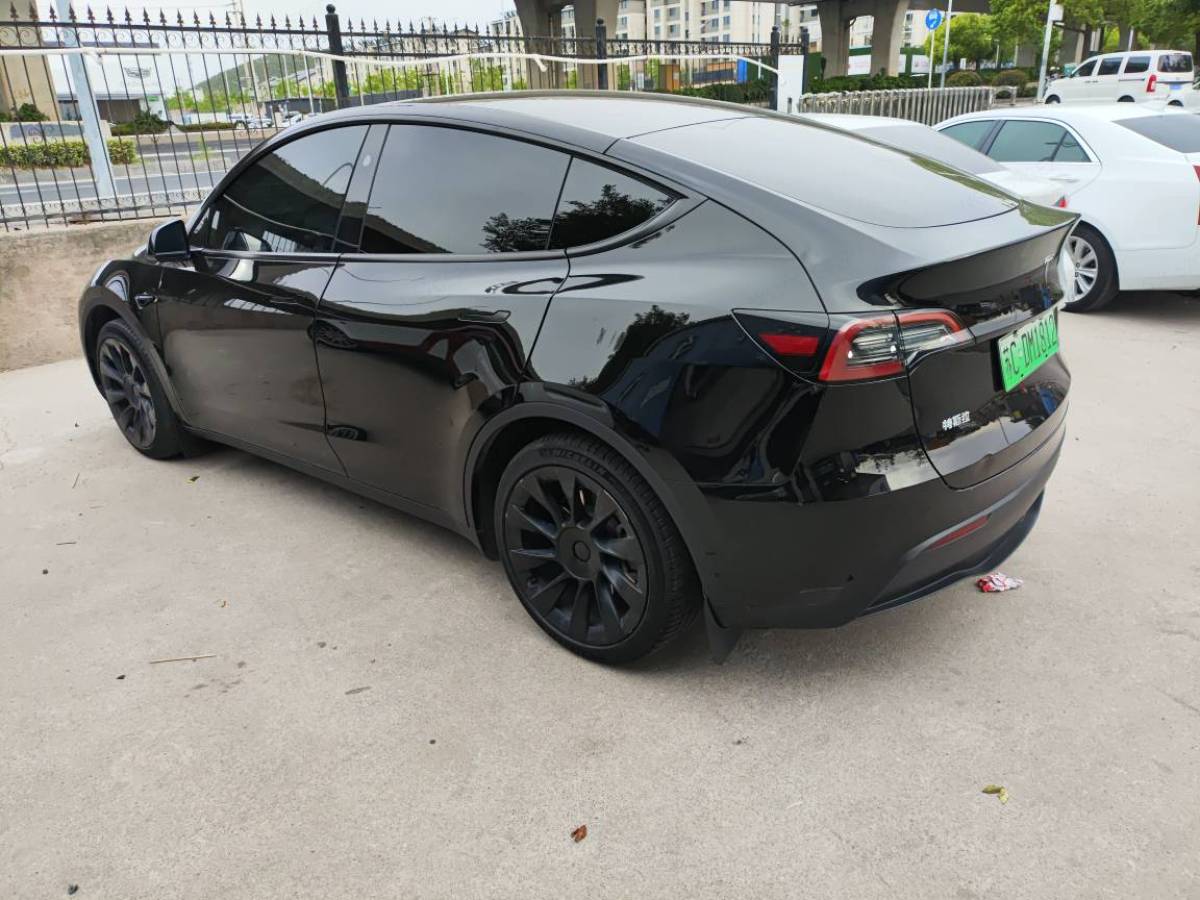 特斯拉 Model Y  2024款 后輪驅(qū)動版圖片