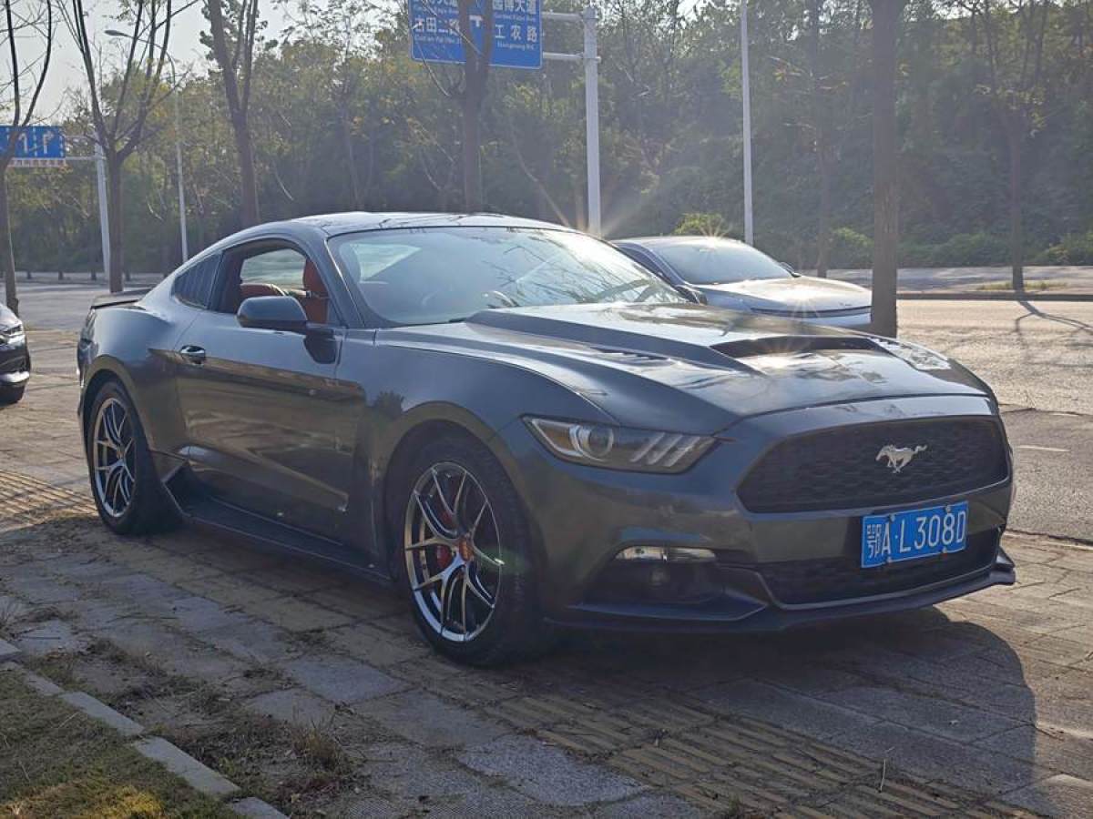 福特 Mustang  2015款 2.3T 50周年紀(jì)念版圖片