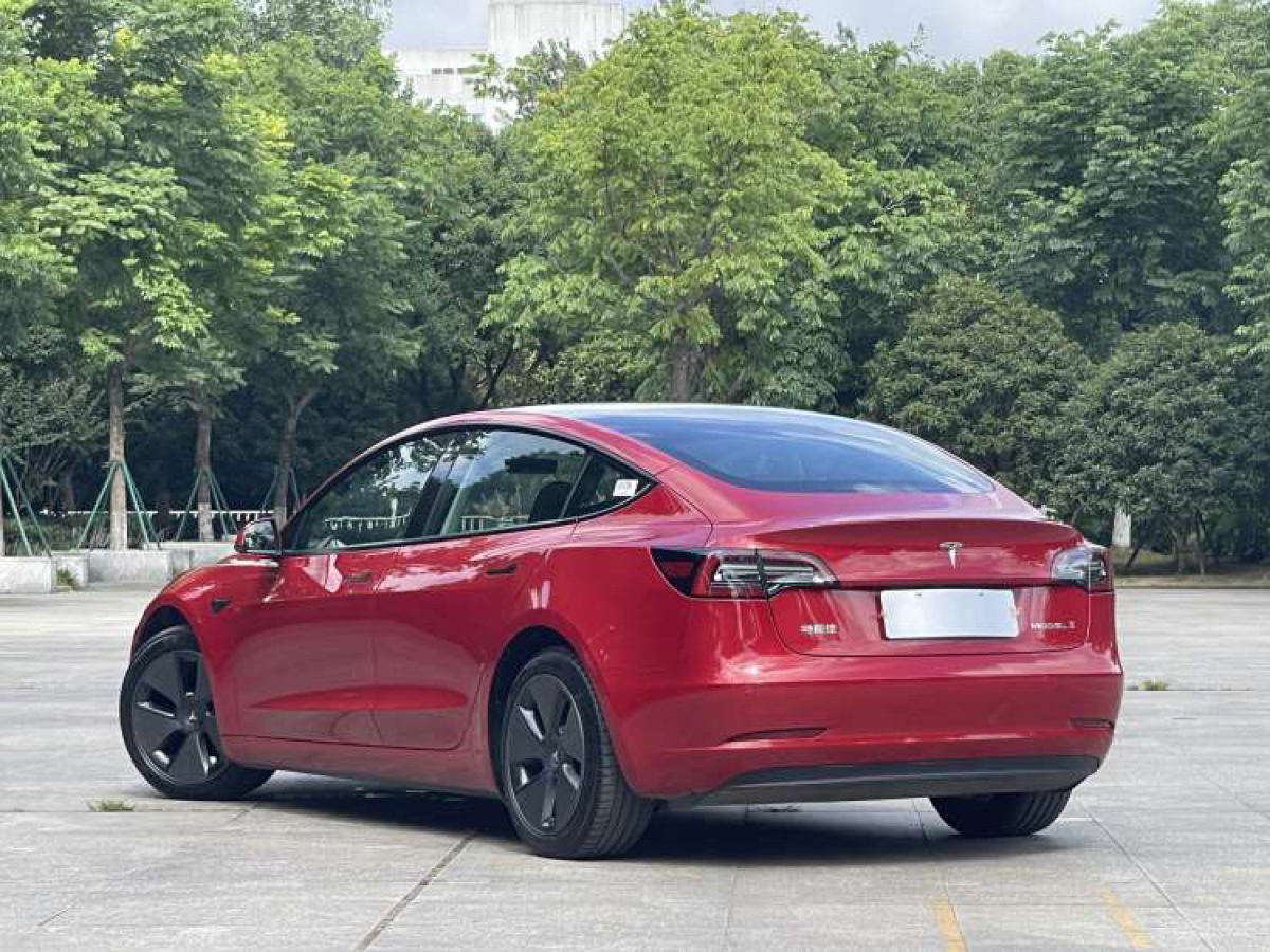 特斯拉 model 3 2021款 標準續航後驅升級版圖片