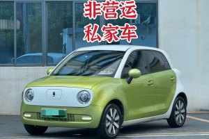 欧拉黑猫 欧拉 2021款 351km 标准型