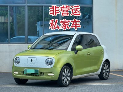 2020年11月 欧拉 欧拉黑猫 2021款 351km 标准型图片