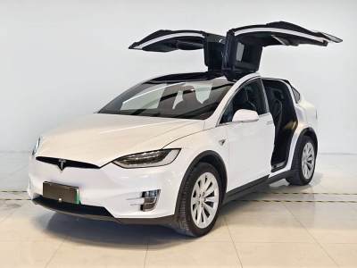 2017年6月 特斯拉 Model X Model X 75D圖片