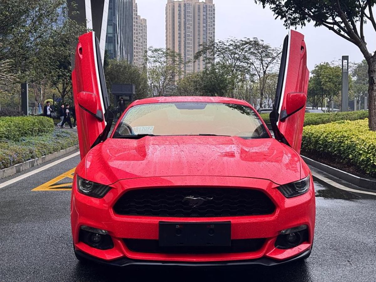 福特 Mustang  2015款 2.3T 50周年紀念版圖片