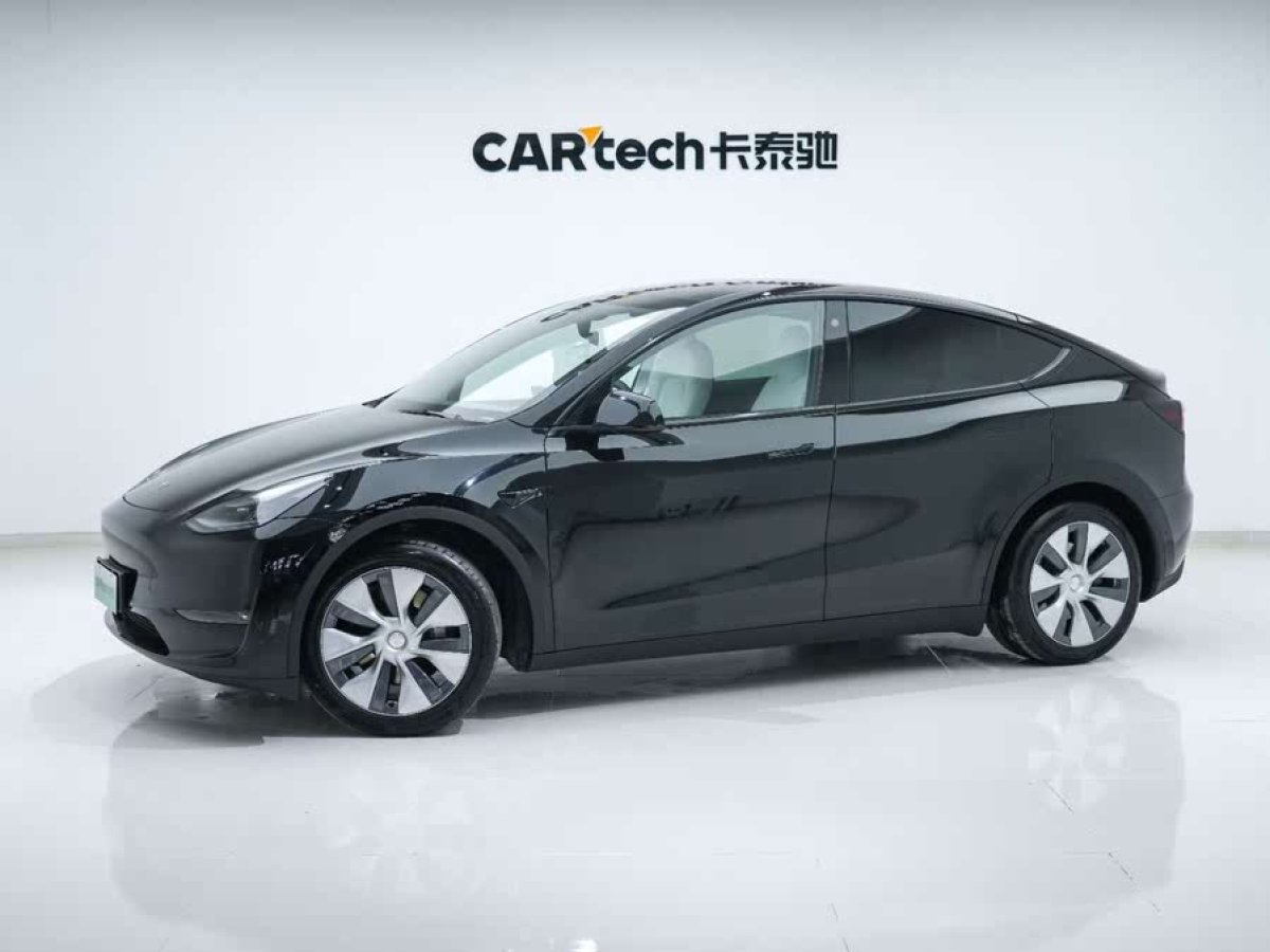 特斯拉 Model Y  2021款 標(biāo)準(zhǔn)續(xù)航后驅(qū)版圖片
