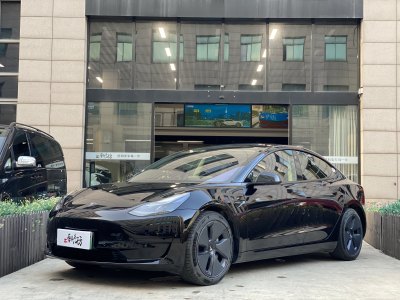 2021年2月 特斯拉 Model 3 标准续航后驱升级版图片