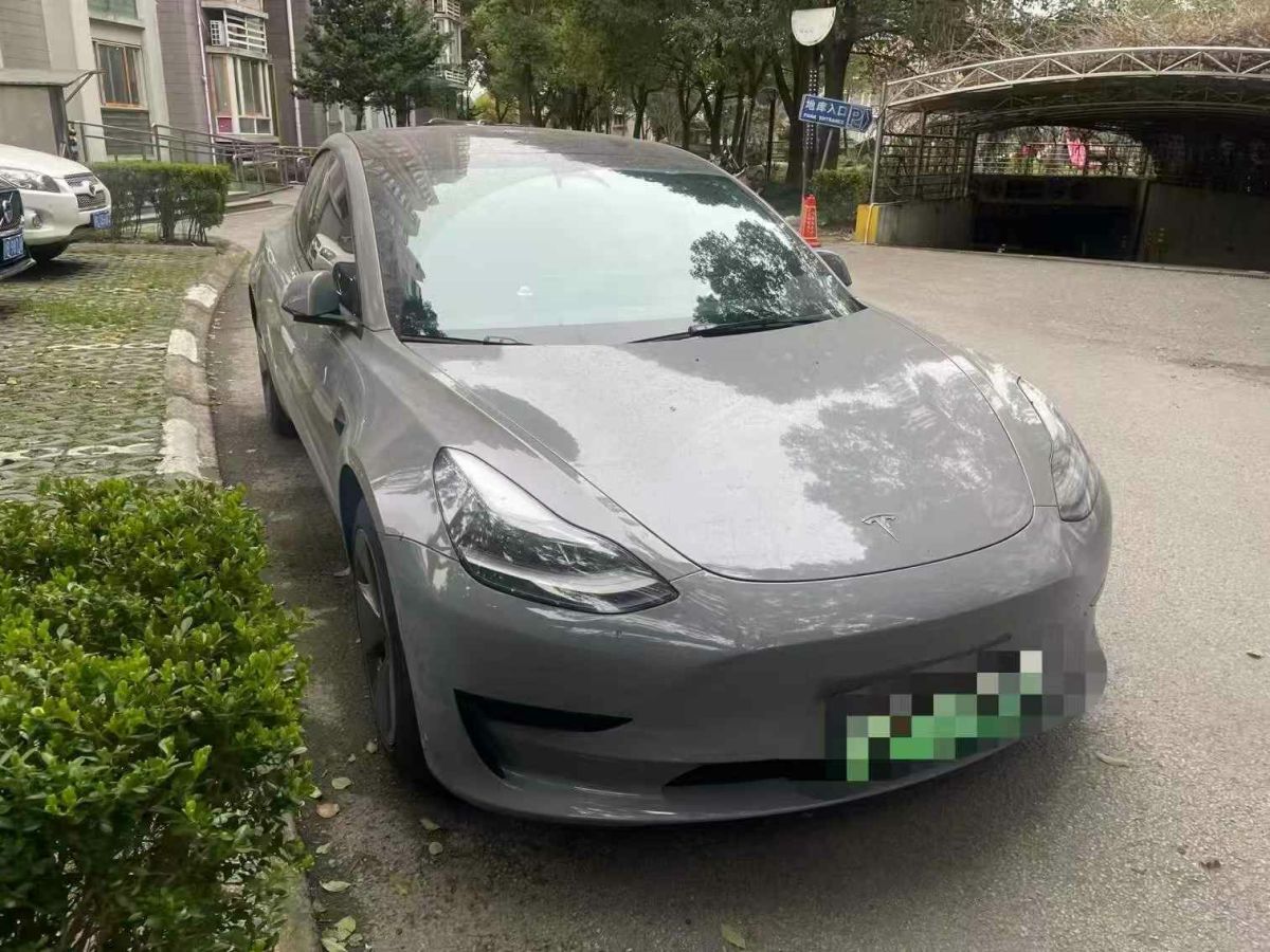 2022年1月特斯拉 Model 3  2022款 Performance高性能全輪驅(qū)動版