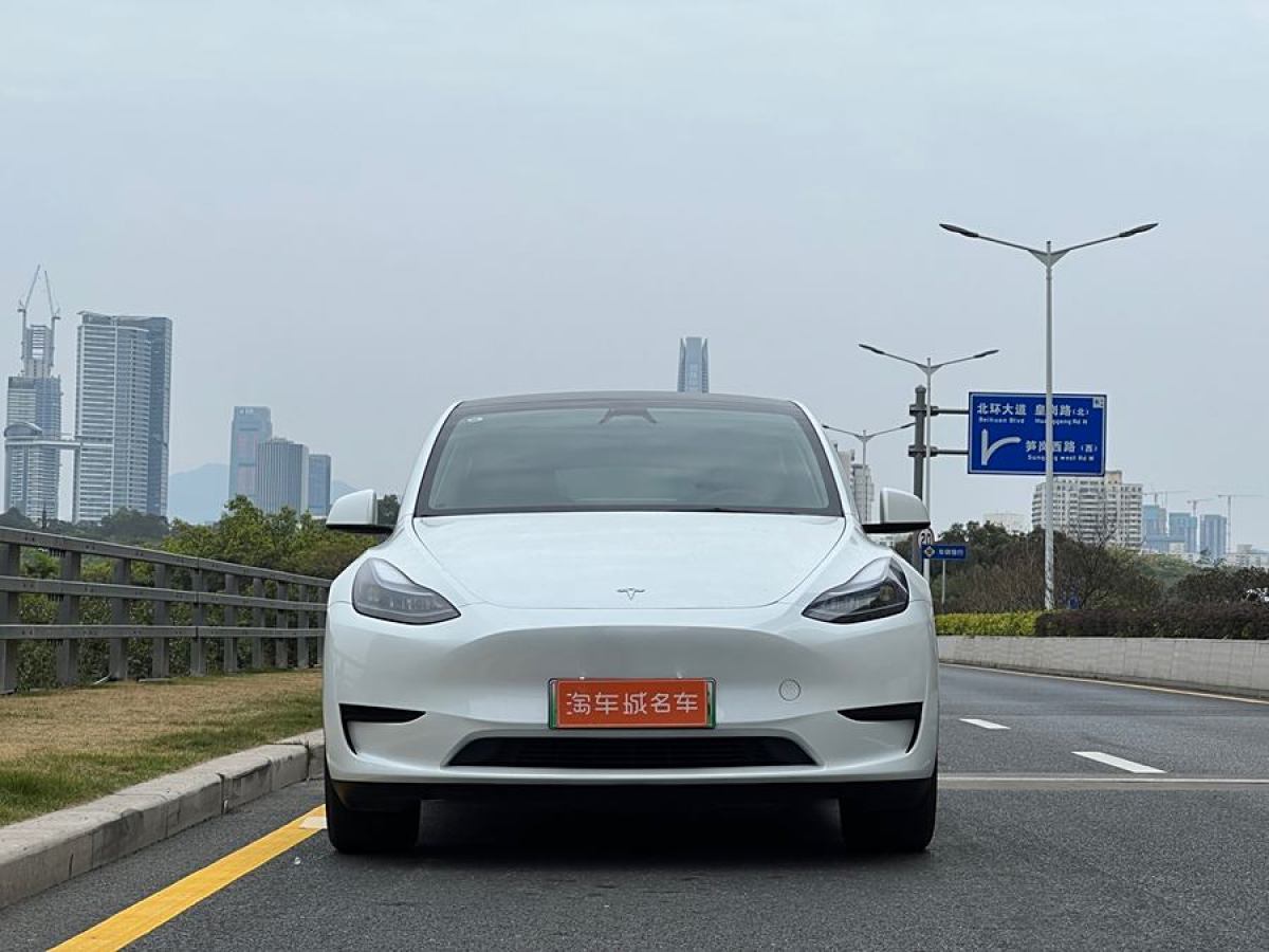 特斯拉 Model 3  2020款 改款 長續(xù)航后輪驅(qū)動版圖片