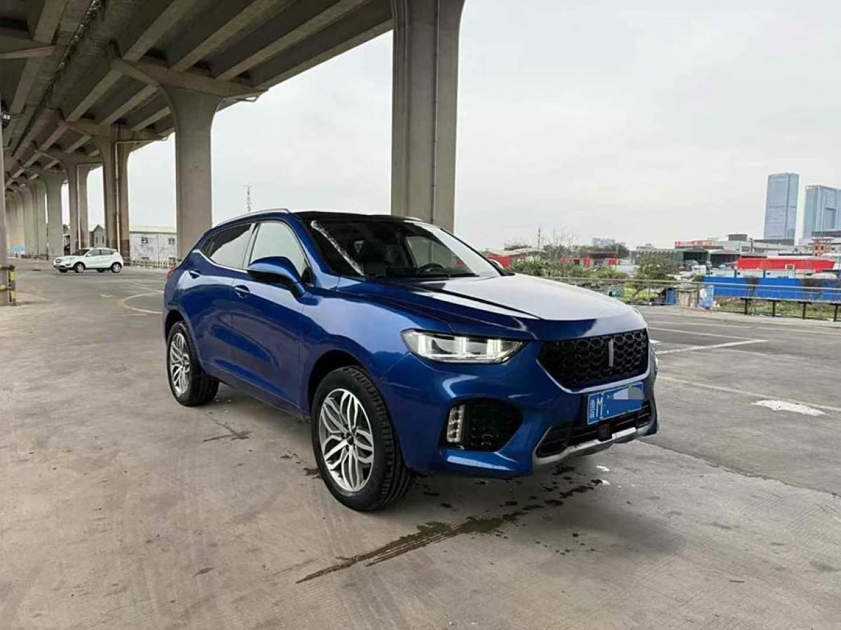 WEY VV5  2019款 升級(jí)款 2.0T 兩驅(qū)超豪型圖片