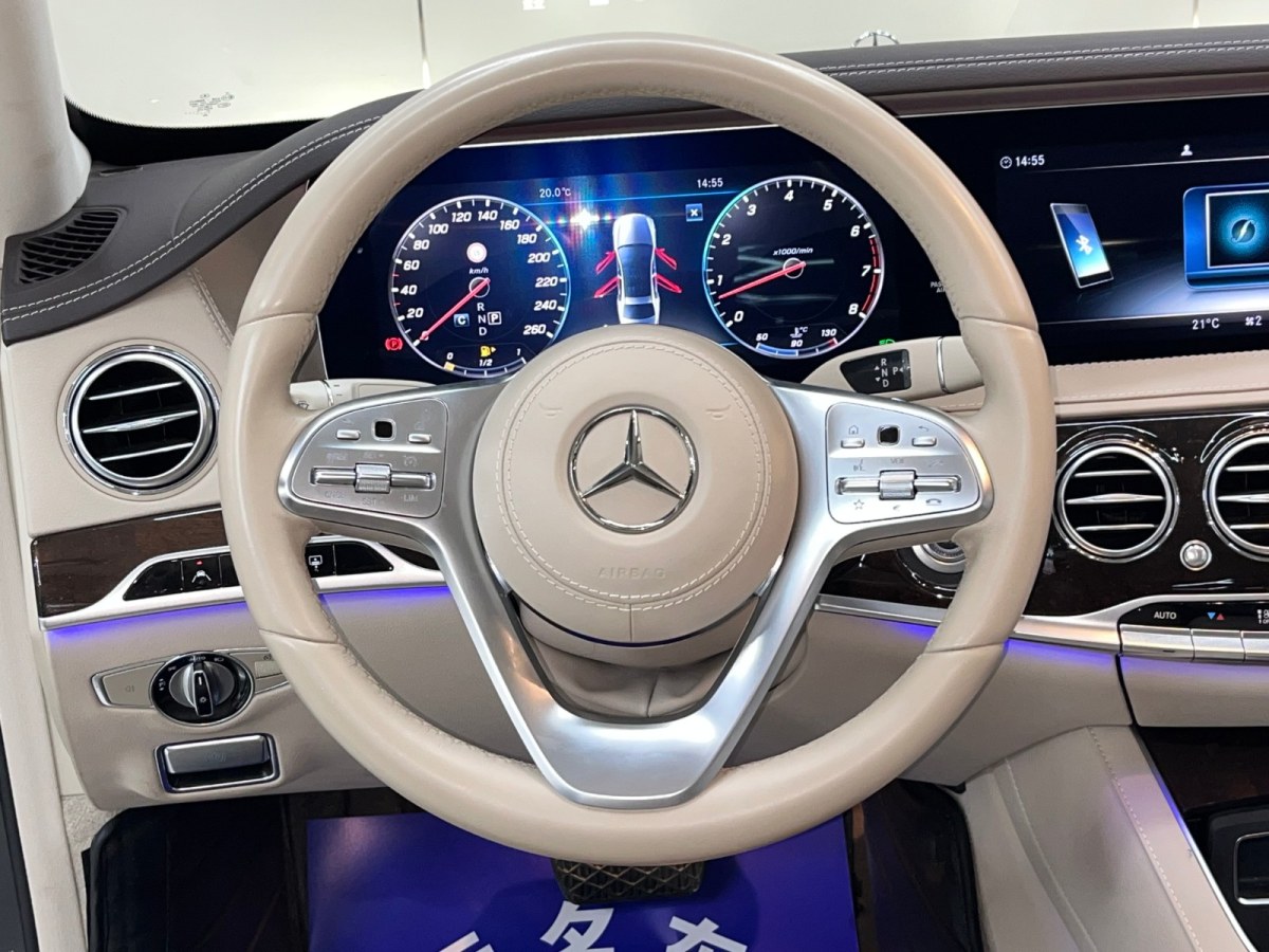奔馳 奔馳S級  2019款 S 450 L 臻藏版圖片