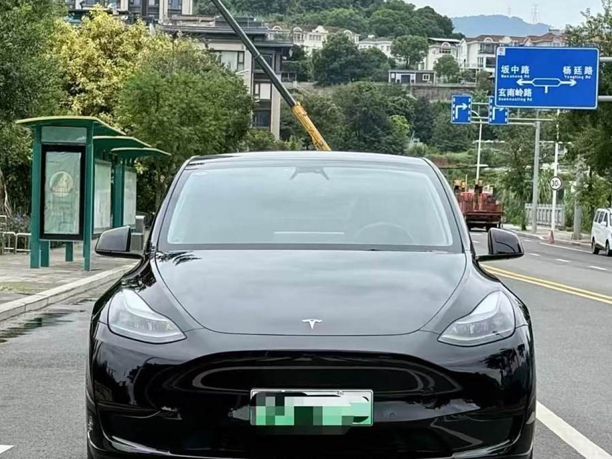 特斯拉 Model 3  2020款 改款 長續(xù)航后輪驅(qū)動版圖片