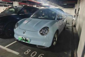 歐拉好貓 歐拉 400km標(biāo)準(zhǔn)續(xù)航 公務(wù)版 三元鋰