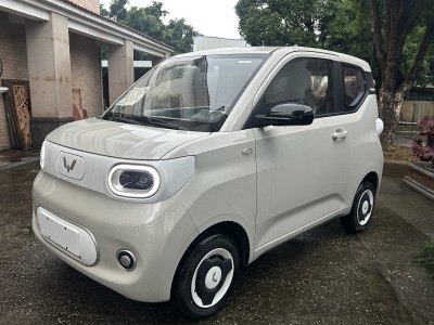 2025年5月 五菱 宏光MINIEV 第三代 215km 青春版圖片