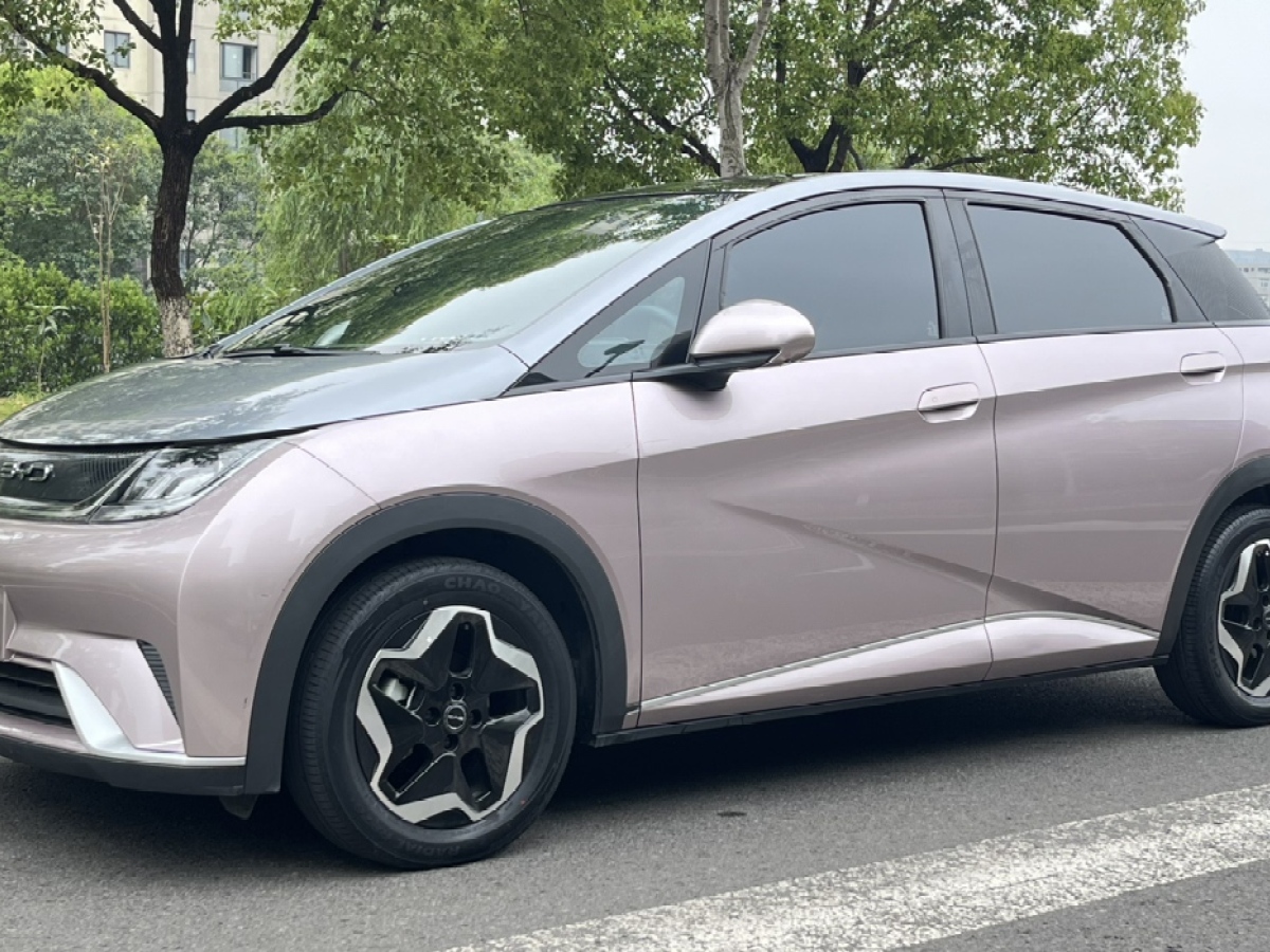 比亞迪 海豚  2021款 405km 時(shí)尚版圖片