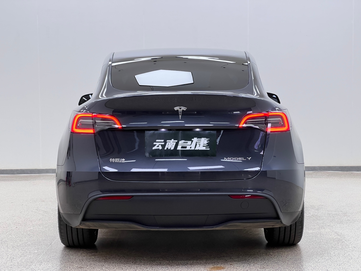 特斯拉 Model Y  2020款 改款 長續(xù)航后輪驅(qū)動版圖片