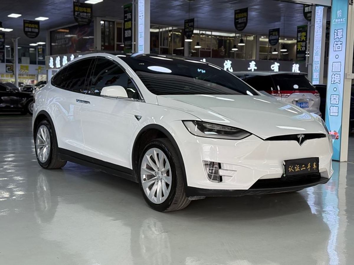 特斯拉 Model X  2019款 長續(xù)航版圖片