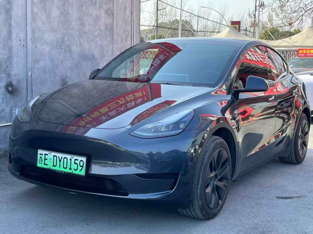 特斯拉 Model Y  2024款 Performance高性能版圖片