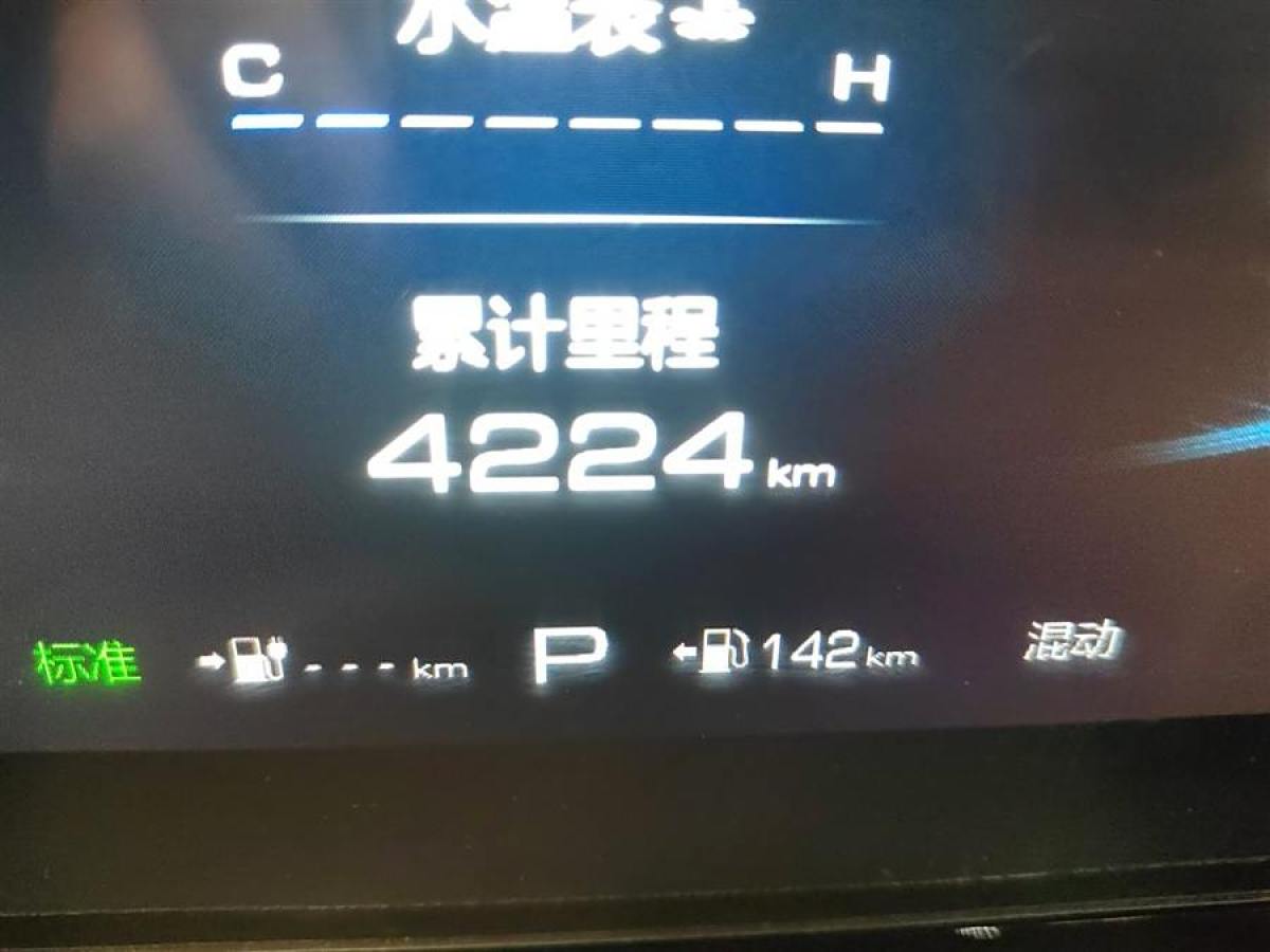 哈弗 哈弗梟龍  2023款 1.5L 110KM領(lǐng)航版圖片