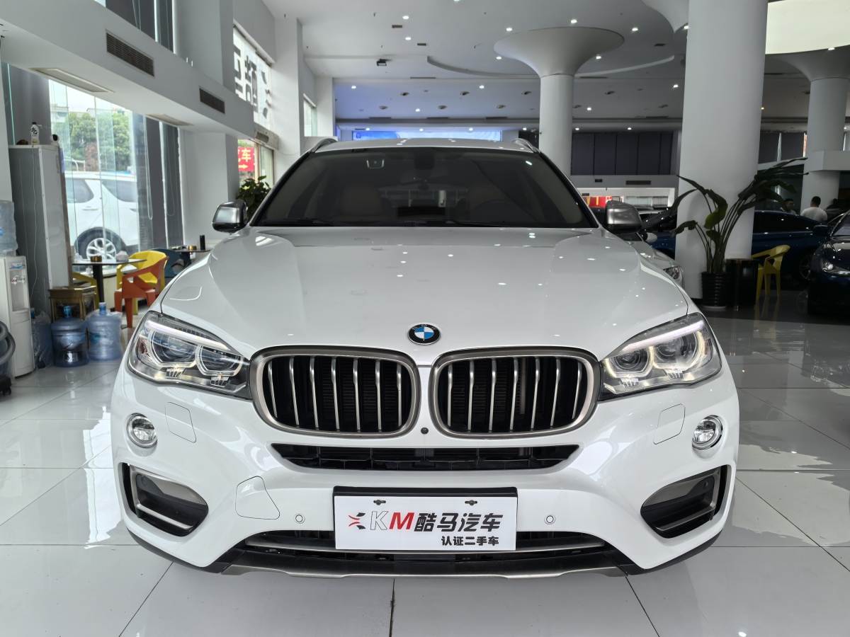 寶馬 寶馬X6  2018款 xDrive35i 領(lǐng)先型圖片