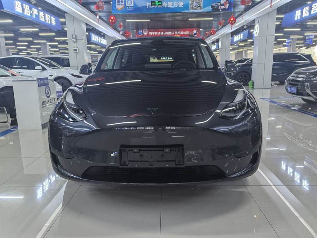 特斯拉 Model Y  2024款 長續(xù)航全輪驅(qū)動版圖片