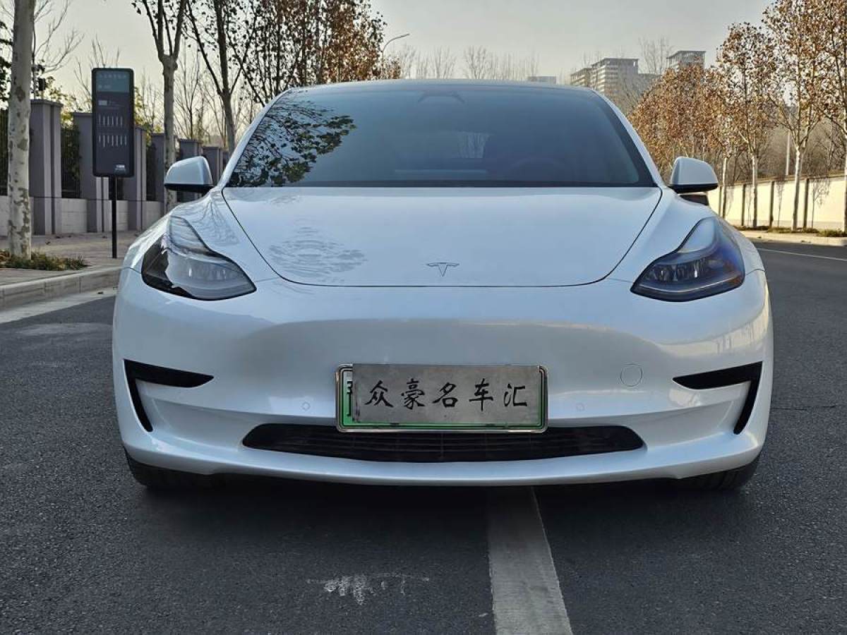 特斯拉 Model 3  2021款 改款 標(biāo)準(zhǔn)續(xù)航后驅(qū)升級(jí)版圖片