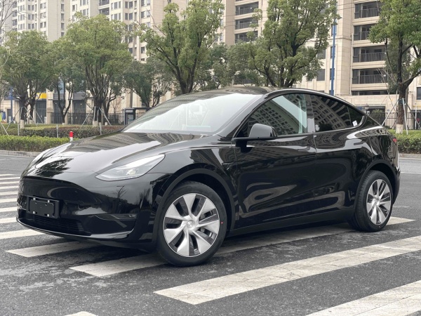 特斯拉 Model Y  2020款 改款 标准续航后驱升级版