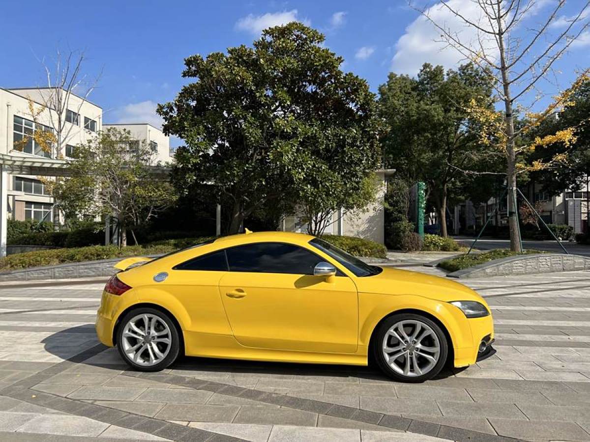 奧迪 奧迪TTS  2008款 TTS Coupe 2.0TFSI quattro圖片