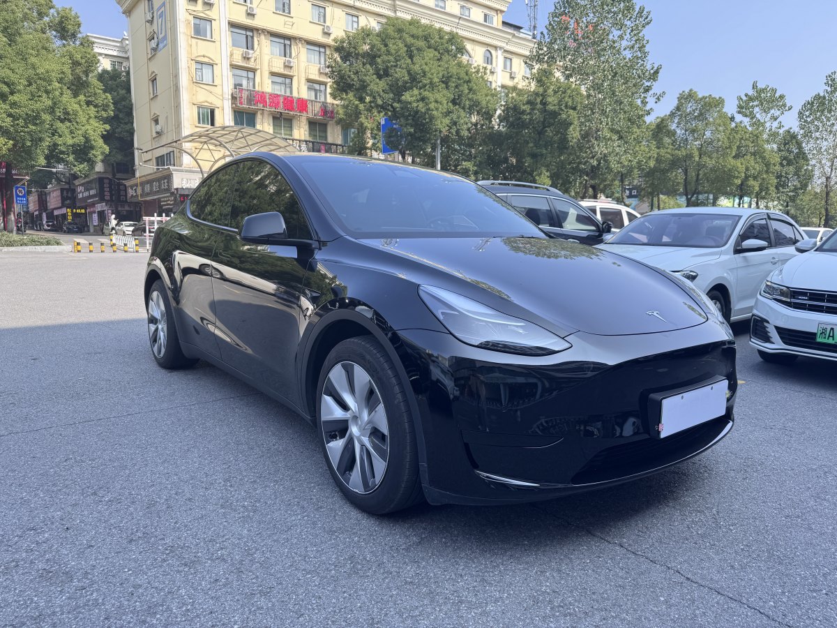 特斯拉 Model Y  2020款 改款 長(zhǎng)續(xù)航后輪驅(qū)動(dòng)版圖片