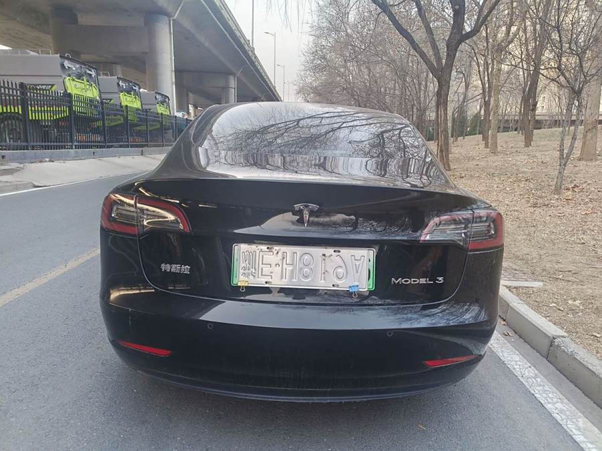 特斯拉 Model 3  2020款 改款 標(biāo)準(zhǔn)續(xù)航后驅(qū)升級(jí)版圖片