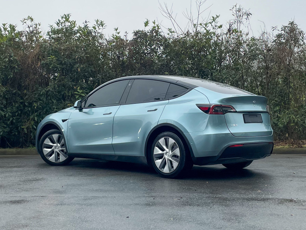 特斯拉 Model 3  2022款 后輪驅(qū)動版圖片