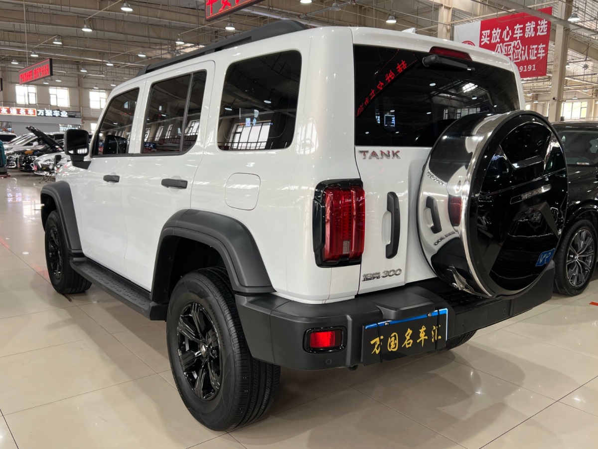 坦克 坦克300  2022款 2.0T 坦克游俠圖片