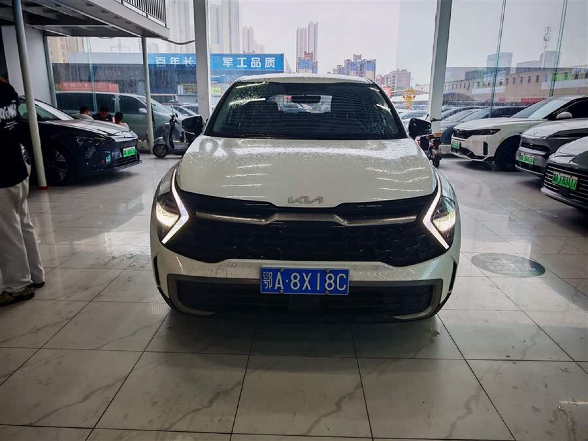 起亞 獅鉑拓界  2023款 2.0L HEV 兩驅(qū)豪華版圖片
